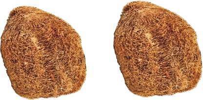 D'Mega Mart Ekakshi Nariyal - One Eyed Coconut - 2 Piece