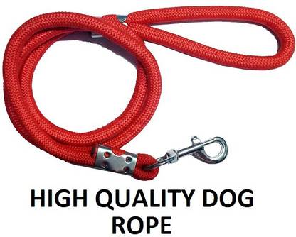 Hachiko 152 cm Dog Strap Leash