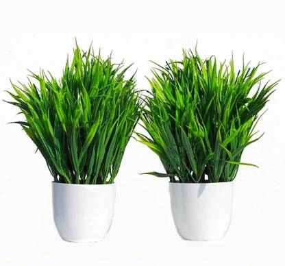 zonezer Artificial plant for home decoration pair set of 1 small table plant Bonsai Artificial Plant  with Pot