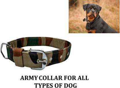 Hachiko Dog Everyday Collar