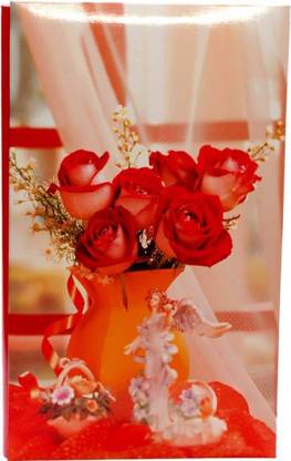 NATRAJ 204 pocket 4 "x 6" Album