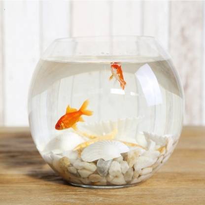BILAL ANSARI 8 Inch W.C. ^ Round Ends Aquarium Tank