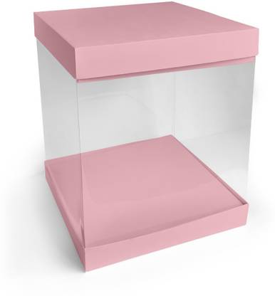 Intact Media Cake Box Plastic Packaging Box