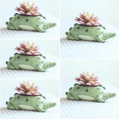 Planterette Cute Crocodile Resin Succulent Pot Plant Container Set