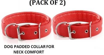 Hachiko Dog Everyday Collar