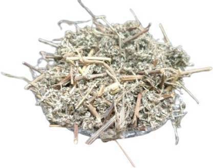 NaturePlanet AFSANTEEN - AFSANTIN - ARTEMISIA ABSINTHIUM - WORMWOOD Seed Seed