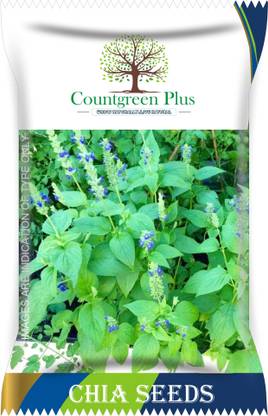 Countgreen Plus Chia Plant Seed