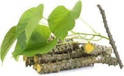 Sjeme Giloy Seed