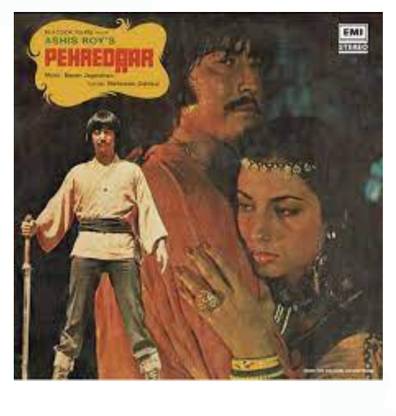 PEHREDAAR (Vinyl Record) - (Condition - 95%) Vinyl Standard Edition