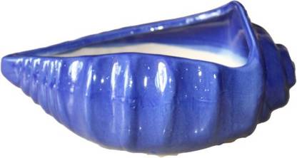 Green Leaf Planters by Green Leaf Planter Green Leaf _ Conch Shape Planter (Blue) Plant Container Set