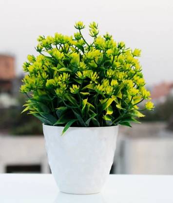 zonezer Bonsai Wild Artificial Plant  with Pot