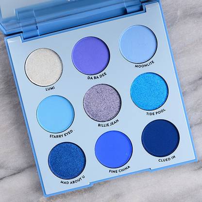 S,F,R Color Blueberry 9 Multicolor Eyeshadow Palette (Matte,Shimmer,Glitter) 9 g