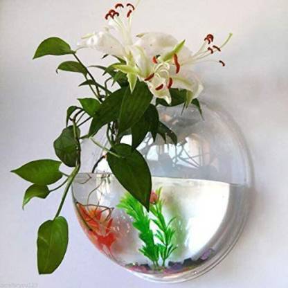 SEETASTIC 2 L Fish Bowl