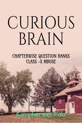 CURIOUS BRAIN