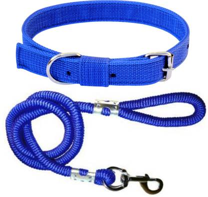 BODY BUILDING Dog Belt Combo of Blue Dog Collar with Blue Lead 1.5m Lengthy Dog Collar & Leash