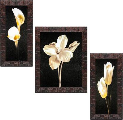 Indianara Set of 3 Lily, Hibiscus, Tulip White Flowers Framed Art Painting (3067GBNN) without glass (6 X 13, 10.2 X 13, 6 X 13 INCH) Digital Reprint 13 inch x 10.2 inch Painting