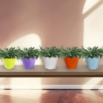 TrustBasket Jasmine Flower Pot (Set of 5) Plant Container Set