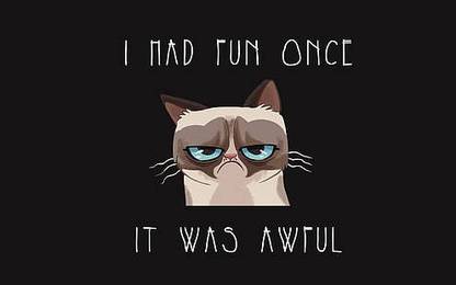 Humor Cat Grumpy Cat Cartoon Poster Paper Print