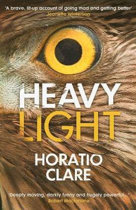 Heavy Light