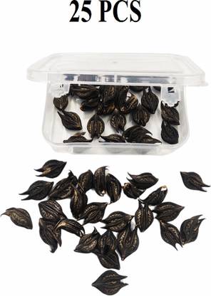 D'Mega Mart Bat head root vinchu devil pod Seed