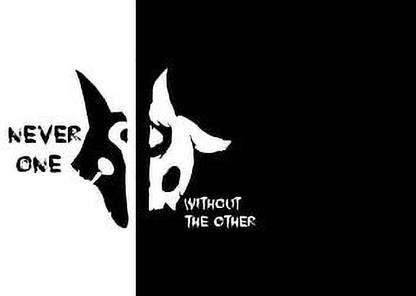 Summoner S Rift League Of Legends Kindred League Of Legends Kindred (Video Game) Poster Paper Print