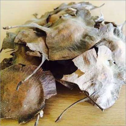 Ravel Red sandal wood Seed