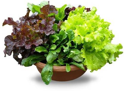 Beejaropan Lettuce Misticanza Seed