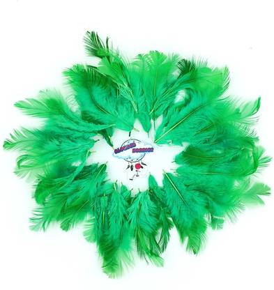 CLOUDED HOBBIES Pack of 100 Decorative Feathers