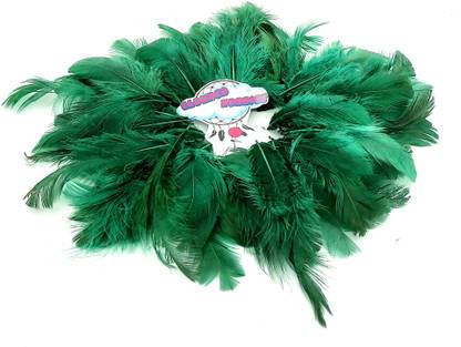 CLOUDED HOBBIES Pack of 100 Decorative Feathers