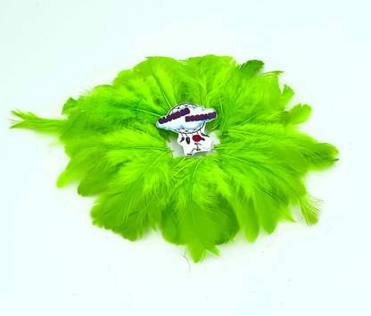 CLOUDED HOBBIES Pack of 100 Decorative Feathers