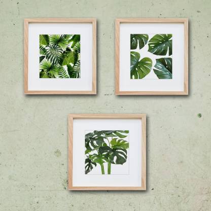 WALLMANTRA Set of 3 Tropical Natural Leaf Wall Painting with Frame/ Synthetic Wood Wall Hanging / Break Resistant Clear Acrylic Glass / Gloss High Definition Print / Natural Wood Color /30cm x 30cm each Digital Reprint 12 inch x 12 inch Painting