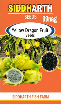 SIDDHARTH FISH FARM yellow dragon Seed