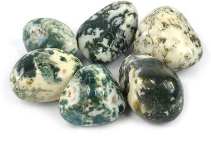 CRYSTU Natural Tree Agate Tumble Stone. Charged By Reiki Grandmaster & Vastu Expert Polished Asymmetrical Crystal Stone