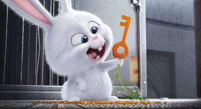 Cartoon Rabbit Best Animation Movies Of The Secret Life Of Pets Matte Finish Poster Paper Print