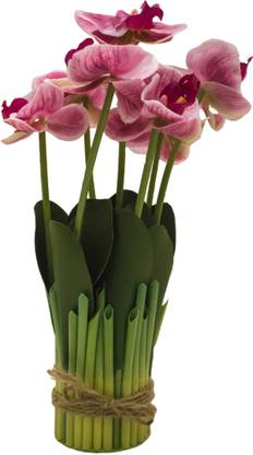 Amflix Multicolor Orchids Artificial Flower