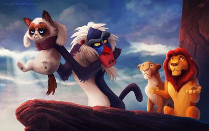 Humor The Lion King Memes Grumpy Cat Matte Finish Poster Paper Print