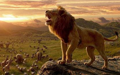 Nature Animals Lion Big Cats Elephant Matte Finish Poster Paper Print