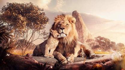 Movie The Lion King 2019 Lion Mufasa The Lion King Simba Hd Matte Finish Poster Paper Print