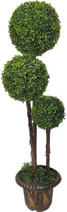 WONDERLAND Artificial Topiary Trees plant with pot, artificial tree, for home decor, balcony & office decoration, excellent gift Bonsai Artificial Plant  with Pot