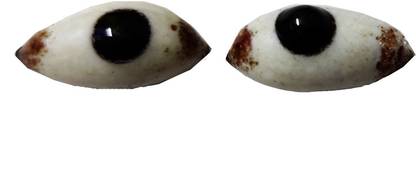 chuz n pick Bhagwan eyes big size, suitable for shivling and matarani Deity Ornament