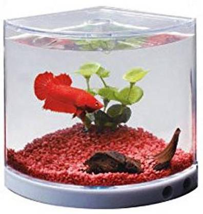 Dophin 101 Corner Pentagon Aquarium Tank