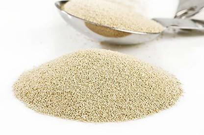 CHATOKDE Active Dry Yeast / Bakers Yeast / Khamir Powder / Instant Yeast for Baking Pizza Bread Cake Donuts Yeast Powder (Pack Of 100 g) Yeast Powder