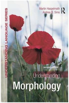 Understanding Morphology