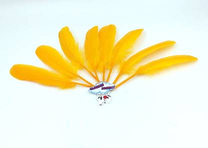 CLOUDED HOBBIES Pack of 20 Decorative Feathers