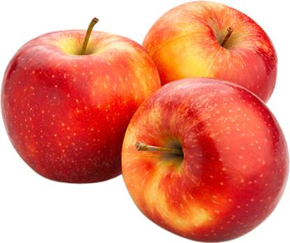 Apple Shimla Economy