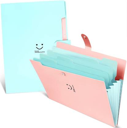 TechBlaze Pack 2 Expanding File Folder, 5 Pockets, Plastic Body Expandable File Folder and Accordion Document Organizer for A4 Size Papers and Certificates for School Office Business Use- Multicolor plastic