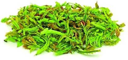 Tender Tamrind Leaves