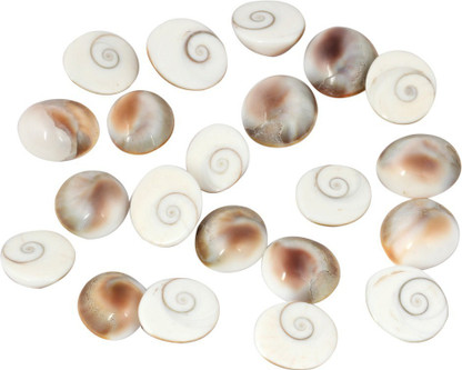 Generic Mahalakshmi Puja Kit (Gomti Chakra, Red Gunja, Yellow Cowrie, Kamal Beej, Small Shriphal