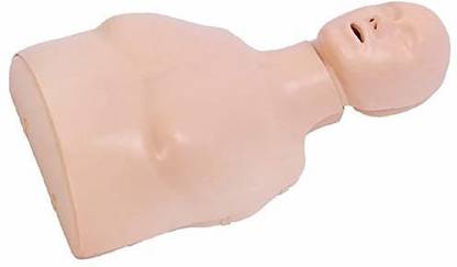 Max Plus | HALF BODY | ADULT-CHILD CPR TRAINING MANIKIN | With SOUND INDICATOR | Anatomical Body Model