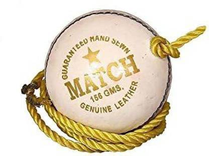 SHASPO White Cricket Training Ball